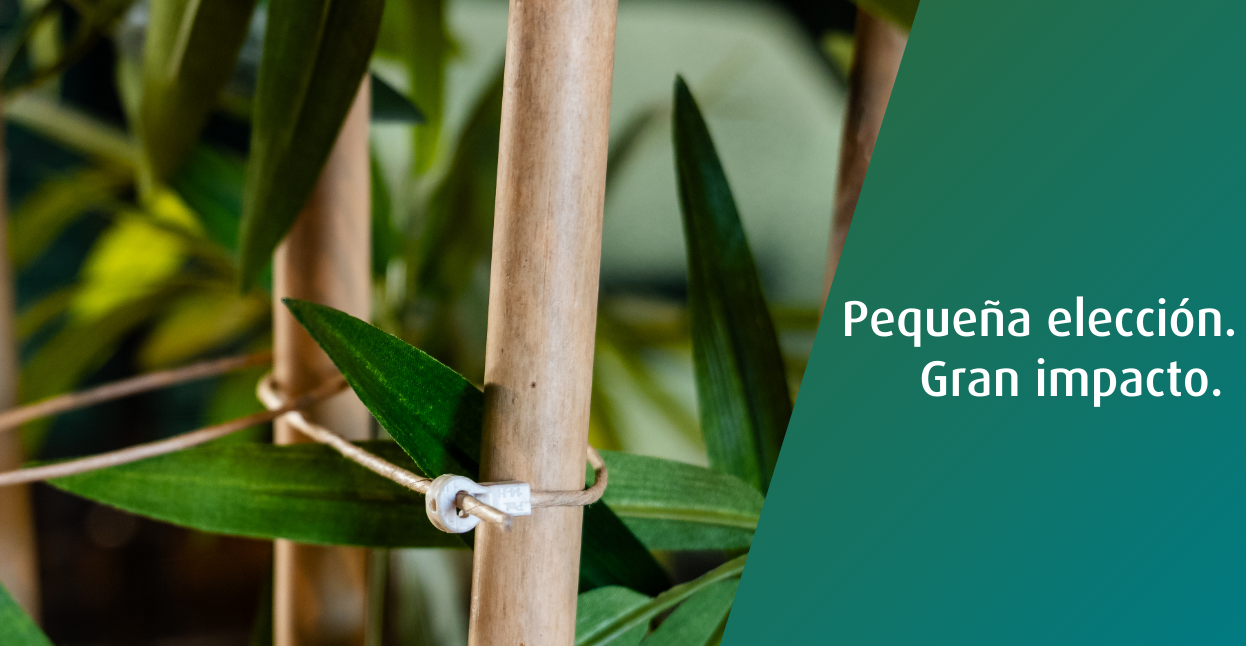 WKK elige FibreStrap: una solución sostenible